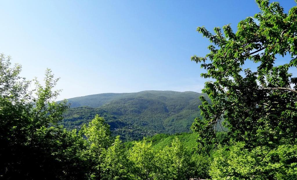 Hotel Vrionis Áyios Dhimítrios Exteriér fotografie